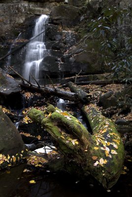 Base of the Falls