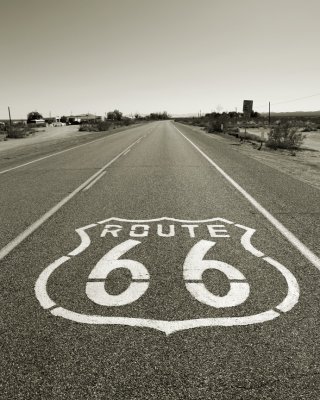 0487_web.jpg