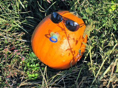 Pumpkin Pacifier