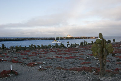 Landscape (South Plaza)