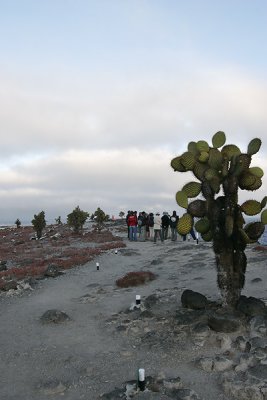 Landscape (South Plaza)