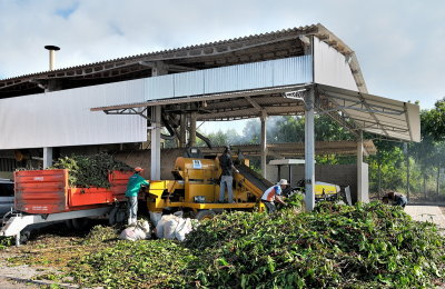 Thresher  cleaning coffee beans & Cart loading organic material back to field