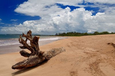 Cocais Beach