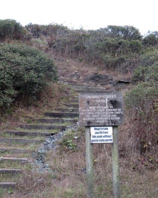 Our trail to the harbor