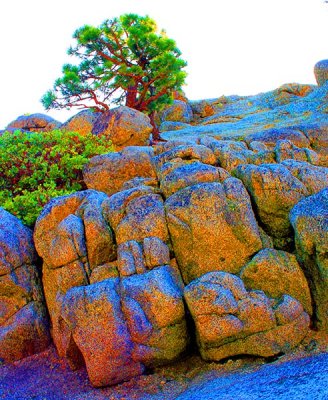 Colorized rocks near Emerald Bay