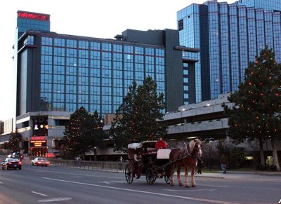 Carriage ride?