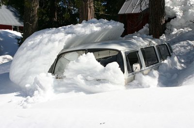 This VW bus is not going anywhere