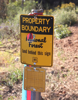 Lassen National Forest boundary near Sawmill Peak