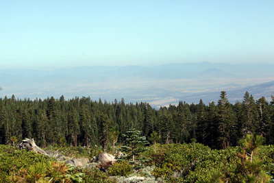 Mt. Shasta backroad view from 7,000 feet