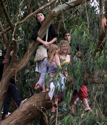 Tree people with an elevated view