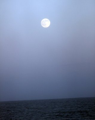 Nearly full moon at sea