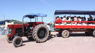 Tractor and cart take us to Stone Island beach