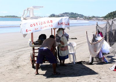 Amelia's oysters-in-the-shell cart