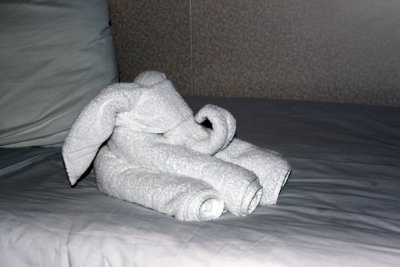 Back in our room - they always made cool formations out of our fresh towels