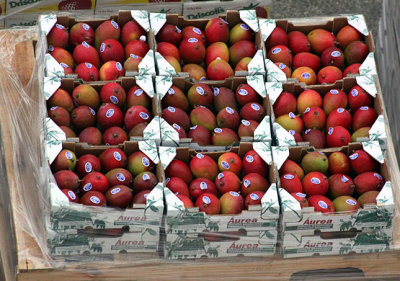 Supplies for next cruise - mangoes
