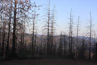Burn evidence from recent fires