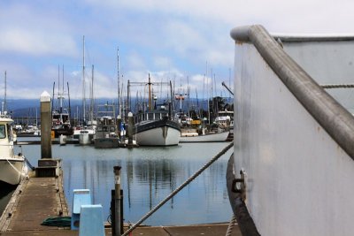 The marina by the Embarcadero, Woodley Island, Eureka