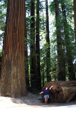 Donna and the redwoods