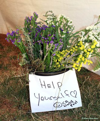 Flowers, help yourself!