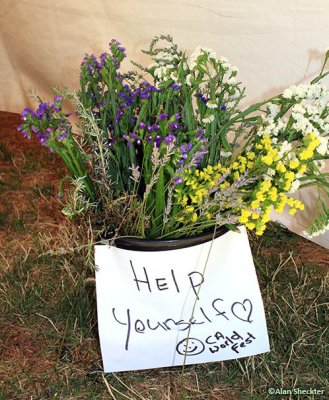 Flowers, help yourself!