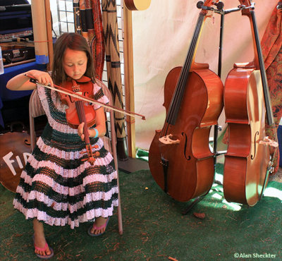 Young fiddler