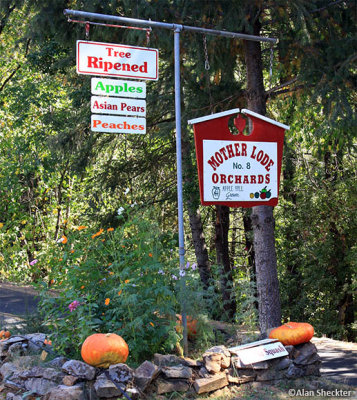 Mother Lode Orchards