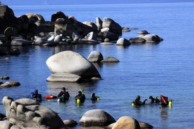 Alien beings in the water