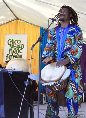 Joyful on the bongo