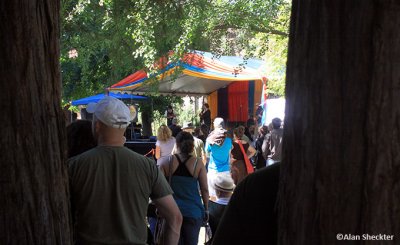 Unusual concert view, from between two trees