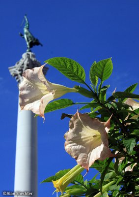 Dewey Monument at Union Square