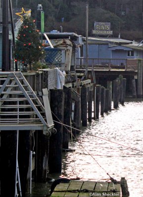 Little Christmas tree at Noyo Harbor