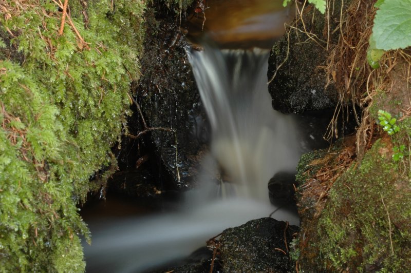 DSC_0110.JPG