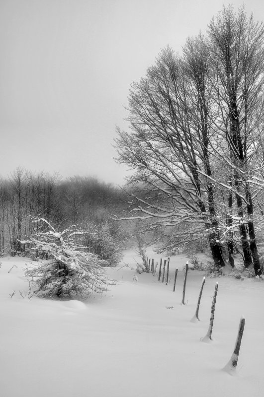 DSC_1696ret.JPG