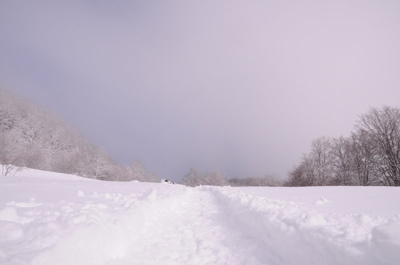 DSC_1664.JPG