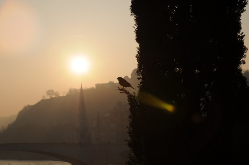 DSC_0812.JPG