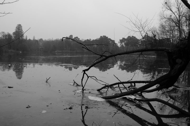 DSC_1074.JPG