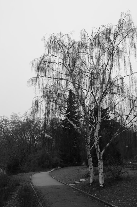 DSC_1079.JPG