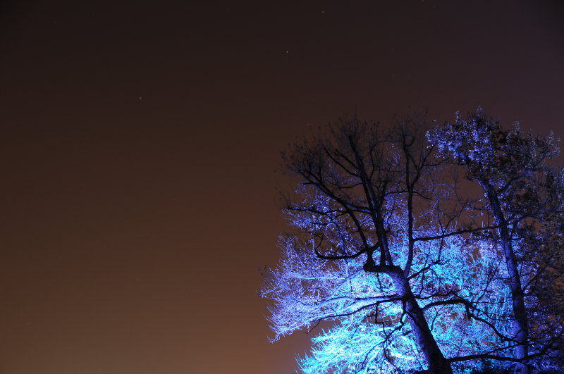 DSC_3181.JPG