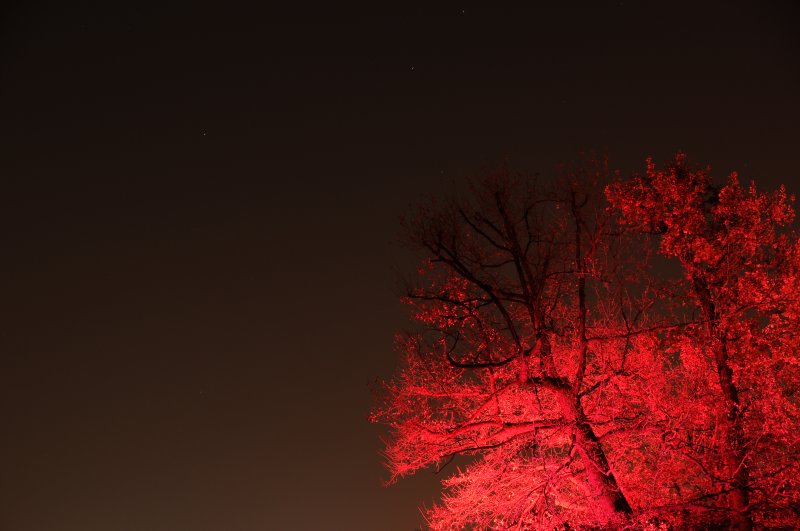 DSC_3183.JPG
