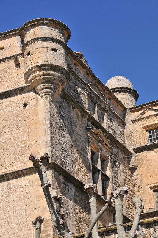 DSC_0384.JPG