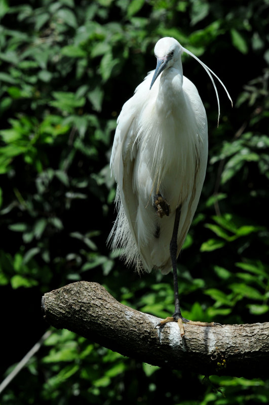 DSC_3977.jpg