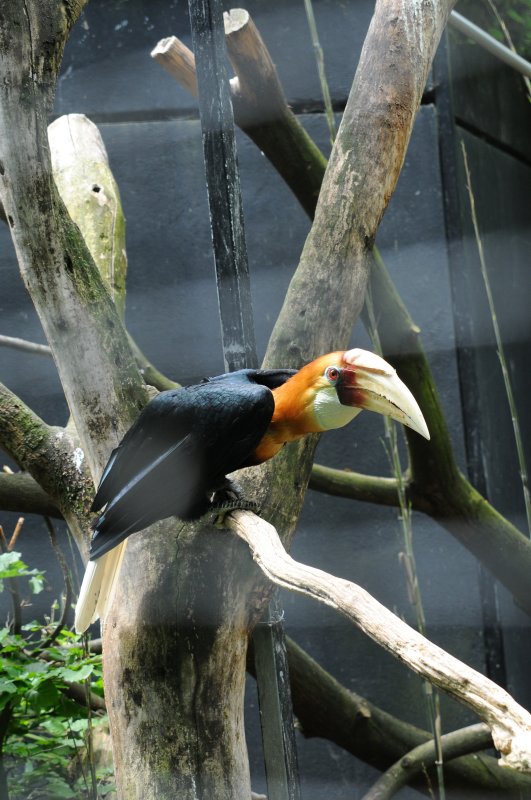 DSC_3993.jpg