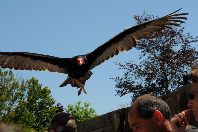 DSC_4148.jpg