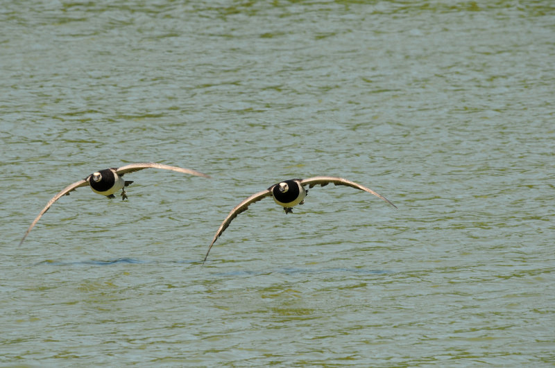 DSC_4298.jpg