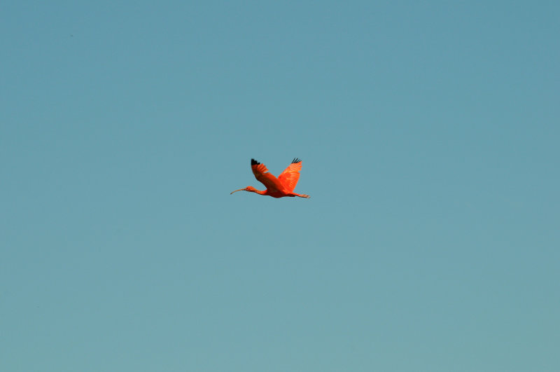 DSC_4320.jpg