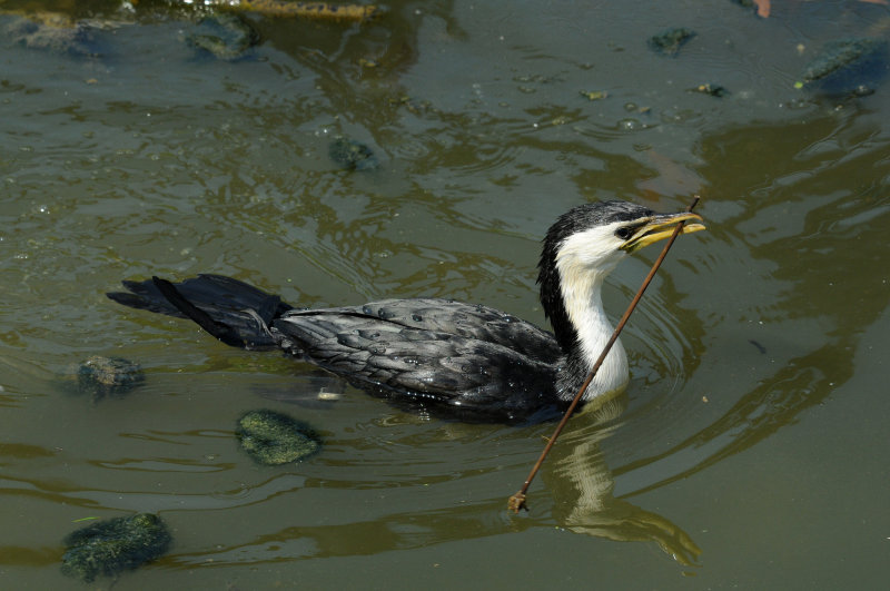 DSC_4675.jpg