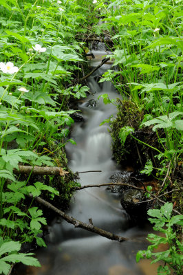 DSC_5389ret.JPG