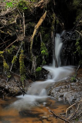 DSC_5415ret.JPG