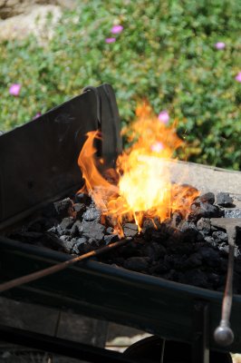 DSC_6529.JPG