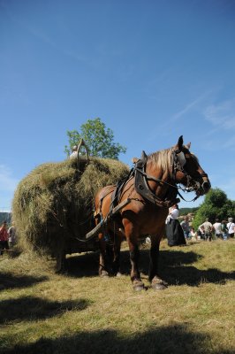 DSC_6672.JPG